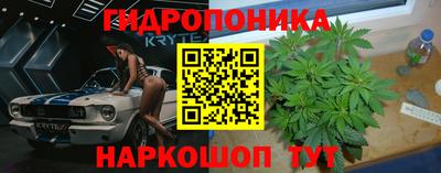 прущие грибы Пыть-Ях