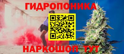 прущие грибы Пыть-Ях