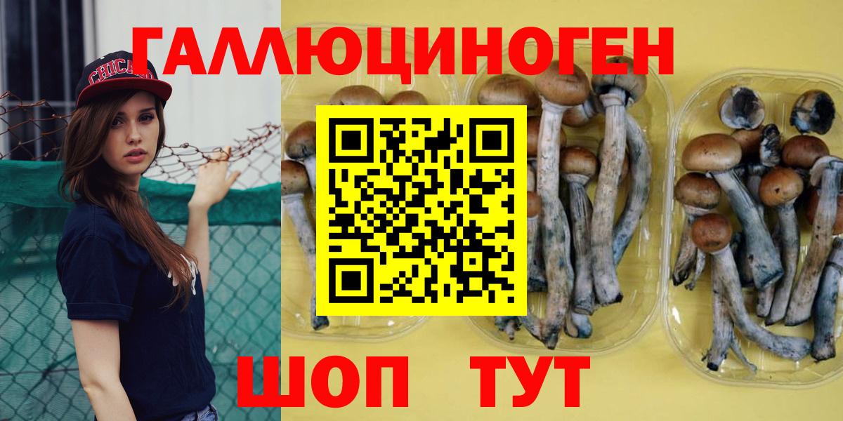 Стрежевой  магазин продажи   Вход с VPN  Галлюциногенные грибы Psilocybe 